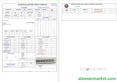 PAKISTAN PESHAWAR ELECTRIC SUPPLY COMPANY business utility bill Word and PDF template